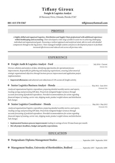 Model de CV Traditional Simplu